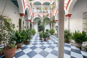 Alohamundi Alfalfa, Seville